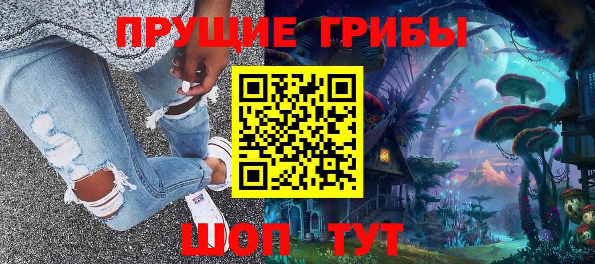 Будённовск  Псилоцибиновые грибы мухоморы  Вход с VPN 